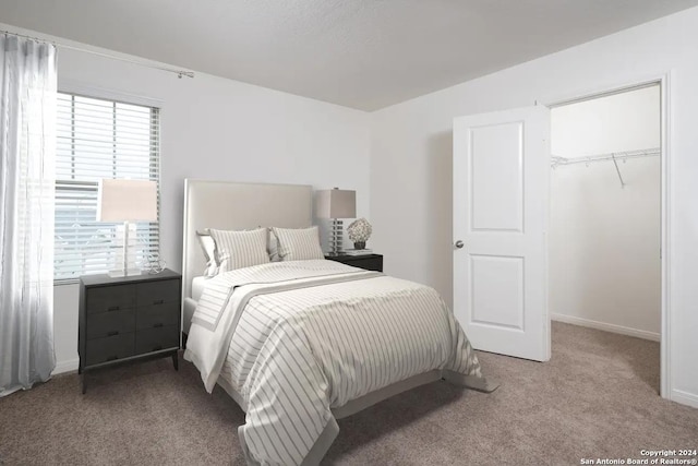 bedroom with a closet, a spacious closet, and light carpet