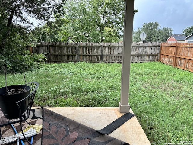 view of yard featuring a patio