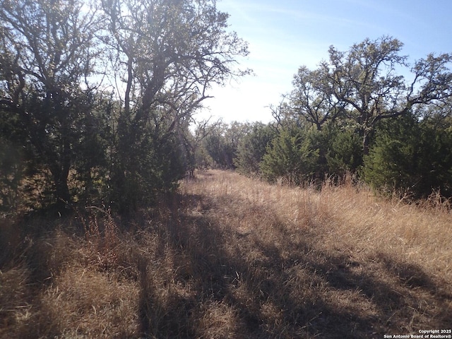 Listing photo 3 for 559 Summit Rd, Pipe Creek TX 78063