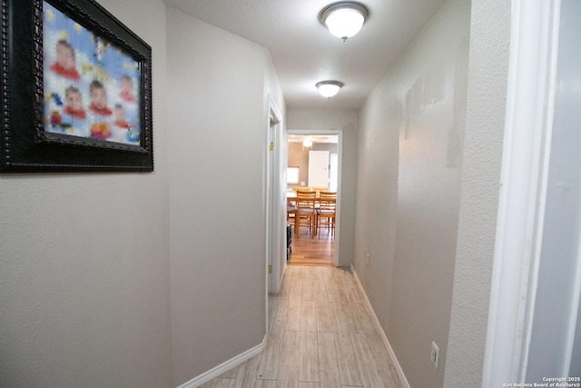 hallway featuring light hardwood / wood-style flooring