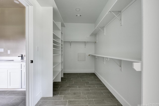 spacious closet featuring sink