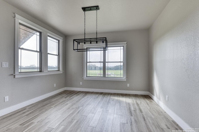 unfurnished dining area featuring light hardwood / wood-style floors