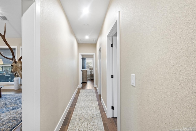 hall featuring wood-type flooring