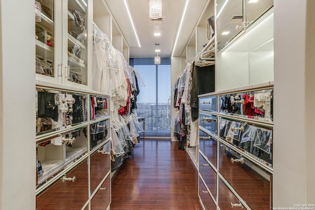 spacious closet featuring dark hardwood / wood-style flooring