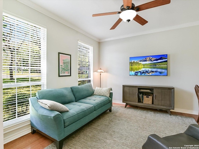 living room with plenty of natural light, ornamental molding, ceiling fan, and light wood-type flooring