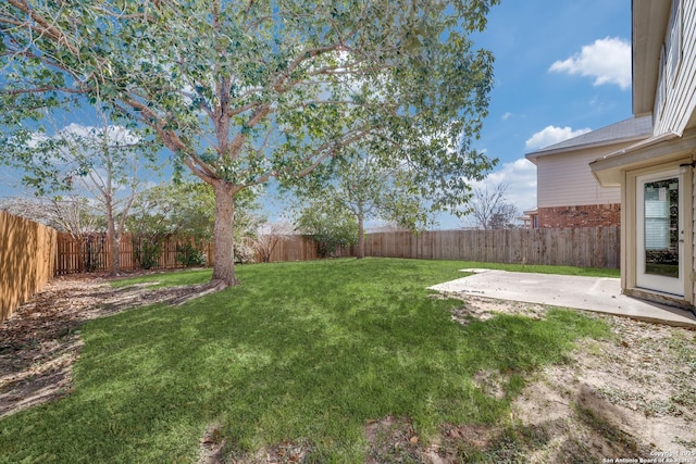 view of yard featuring a patio area