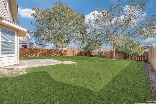 view of yard featuring a patio