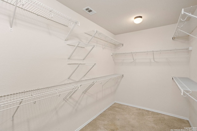 spacious closet with carpet floors