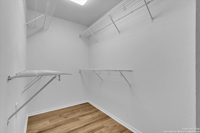 walk in closet featuring hardwood / wood-style flooring