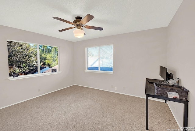 interior space featuring ceiling fan, carpet flooring, and a textured ceiling