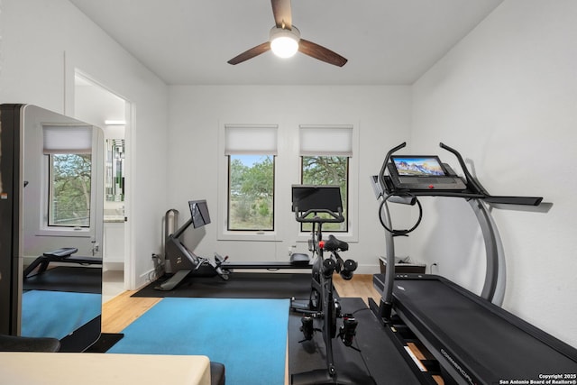 exercise area featuring ceiling fan, baseboards, and wood finished floors