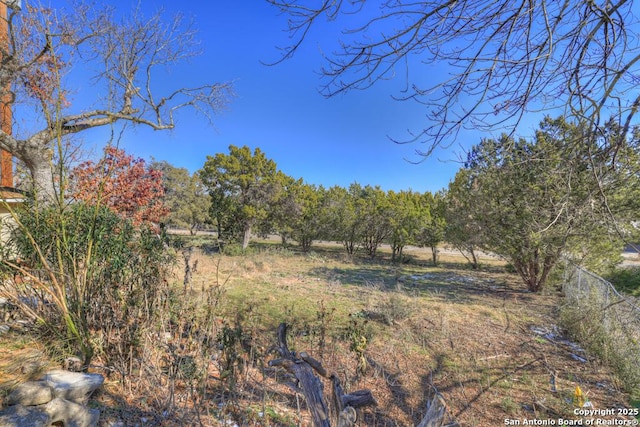 view of local wilderness with a rural view