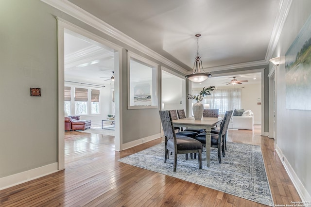 dining room with crown molding, wood-type flooring, and ceiling fan