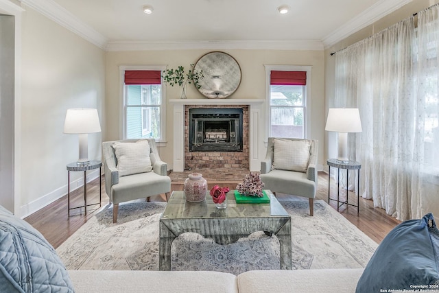 living room featuring hardwood / wood-style floors, crown molding, and a fireplace