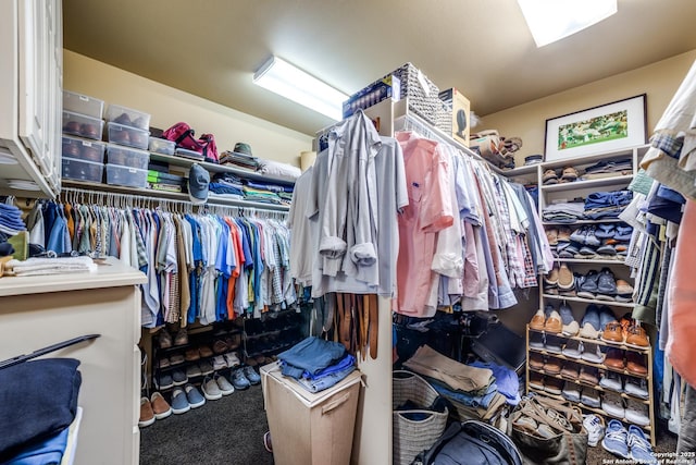 walk in closet with carpet floors