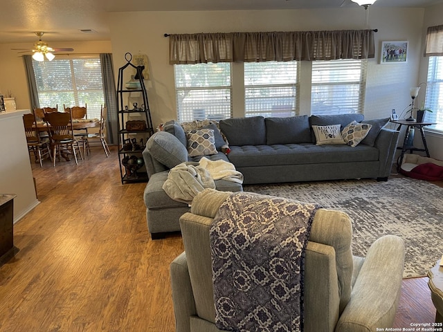 living room featuring hardwood / wood-style flooring and ceiling fan