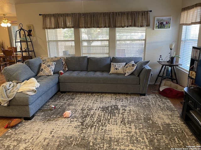 living room with ceiling fan, hardwood / wood-style floors, and a wealth of natural light