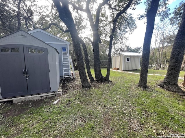 view of yard with a shed