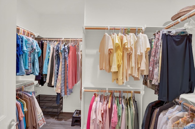 spacious closet with hardwood / wood-style flooring