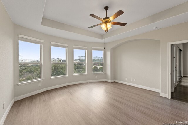 spare room with a healthy amount of sunlight, light wood-type flooring, and a tray ceiling