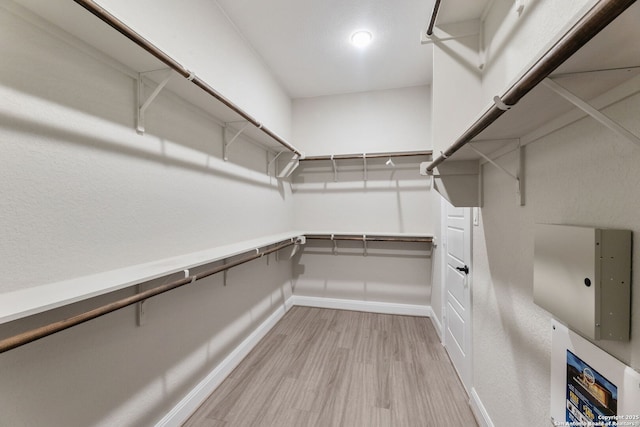 walk in closet with light wood-type flooring