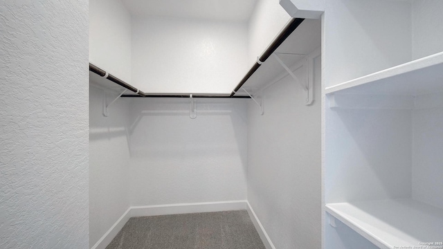spacious closet with carpet