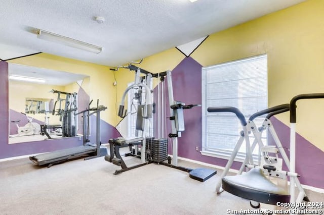 workout room with plenty of natural light, a textured ceiling, and carpet