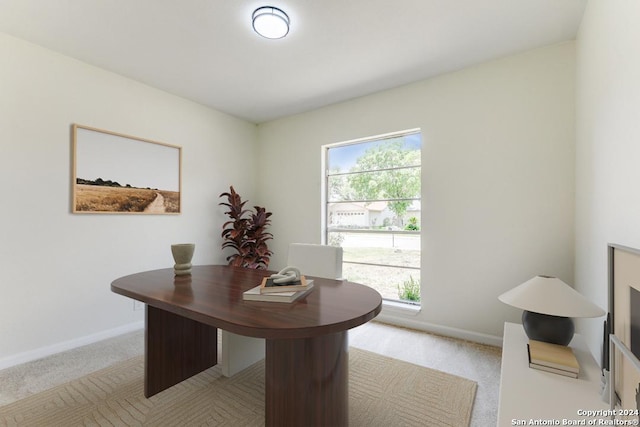 carpeted home office with a wealth of natural light