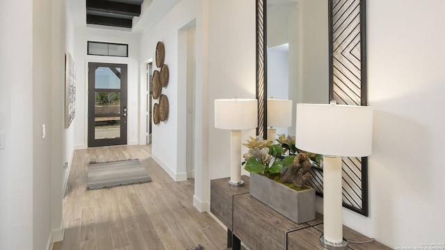 interior space featuring light hardwood / wood-style floors