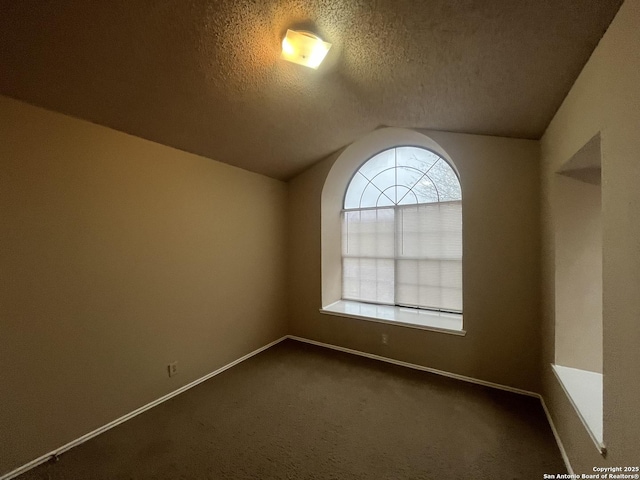 spare room featuring vaulted ceiling, a textured ceiling, and carpet flooring