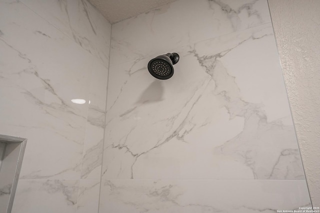 interior details featuring tiled shower