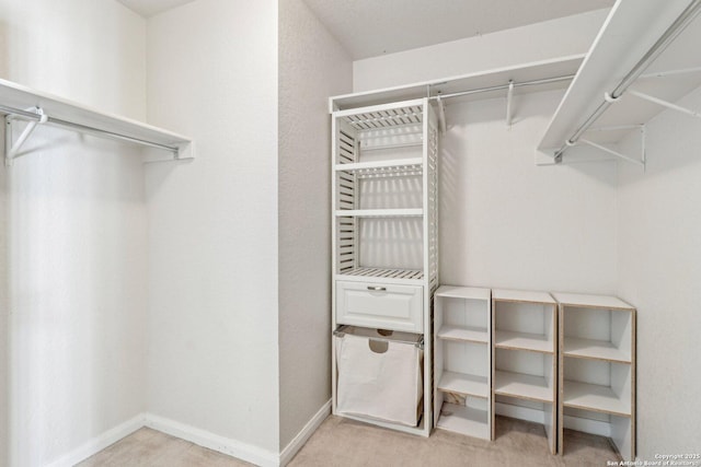 spacious closet with light carpet