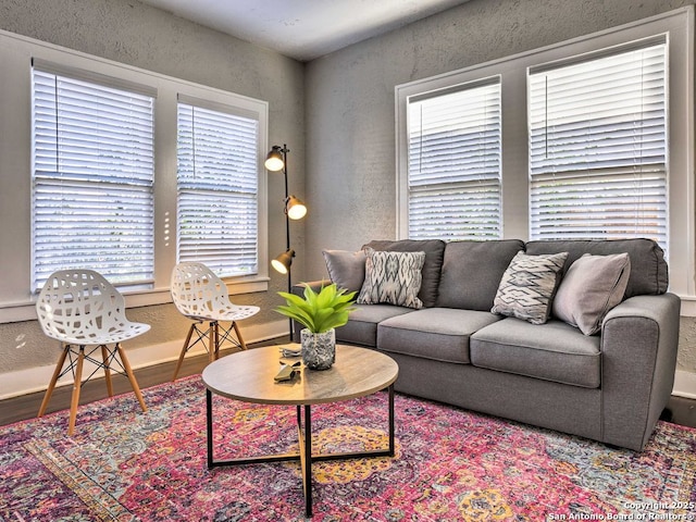 living room featuring hardwood / wood-style flooring and a healthy amount of sunlight