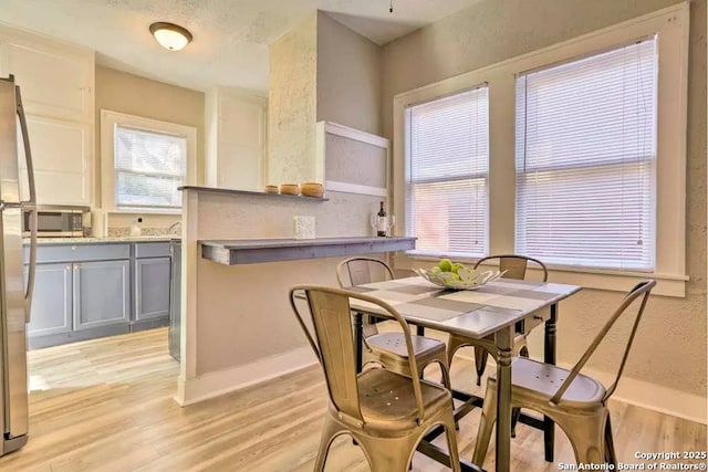 dining room with light hardwood / wood-style floors