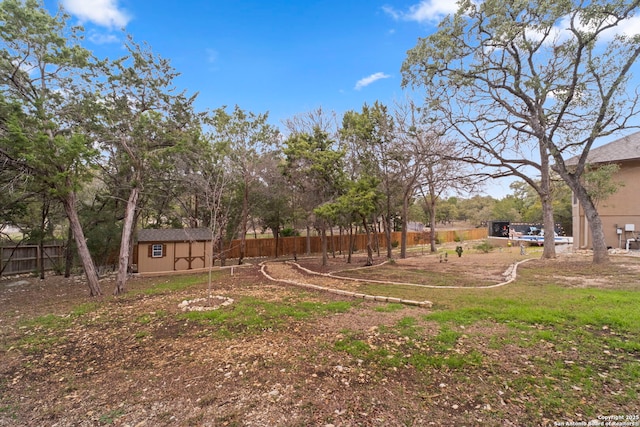 view of yard featuring a storage unit