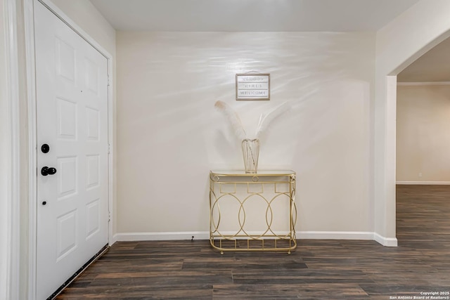 entryway featuring dark wood-type flooring