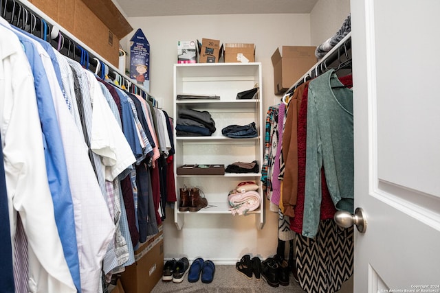 spacious closet with carpet flooring