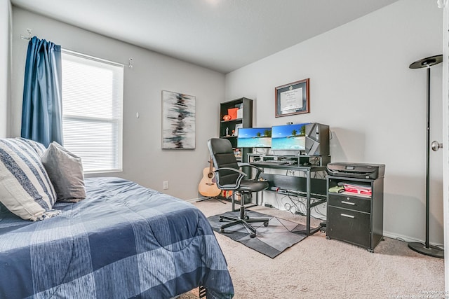 carpeted bedroom with multiple windows