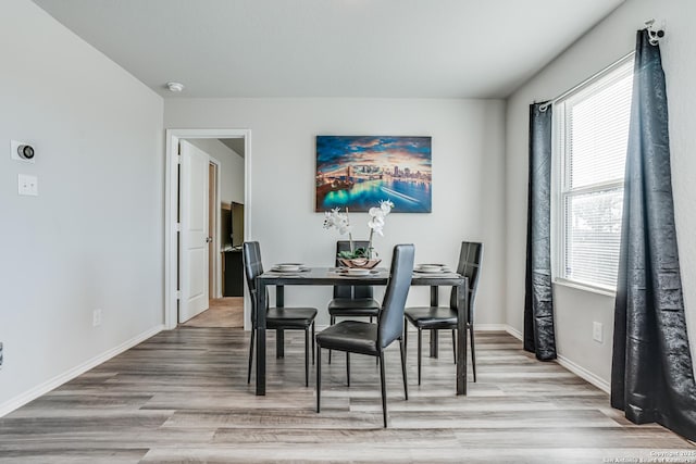 dining room featuring light hardwood / wood-style flooring and a wealth of natural light