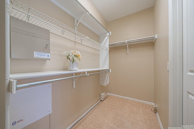 spacious closet featuring carpet floors