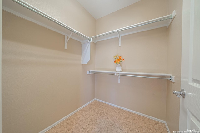 spacious closet with carpet flooring