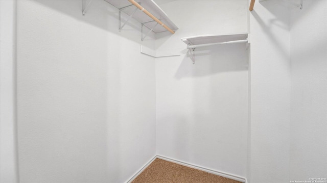 walk in closet with carpet floors