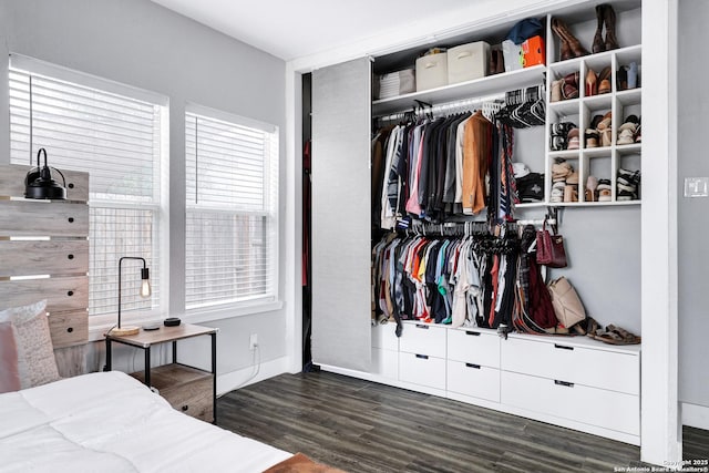 interior space with dark hardwood / wood-style floors and a closet