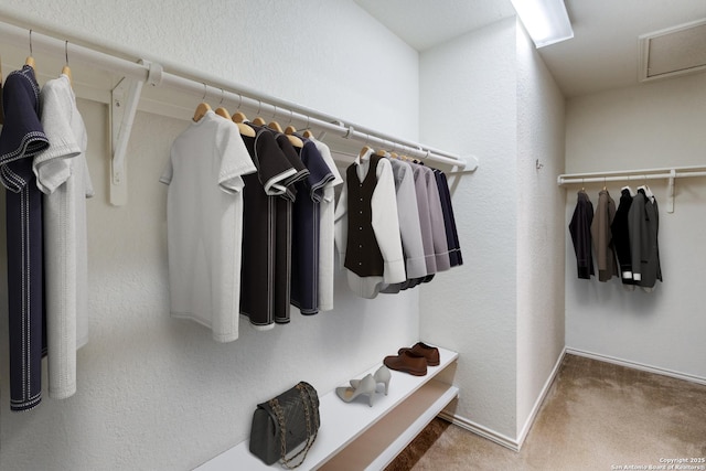 spacious closet with carpet