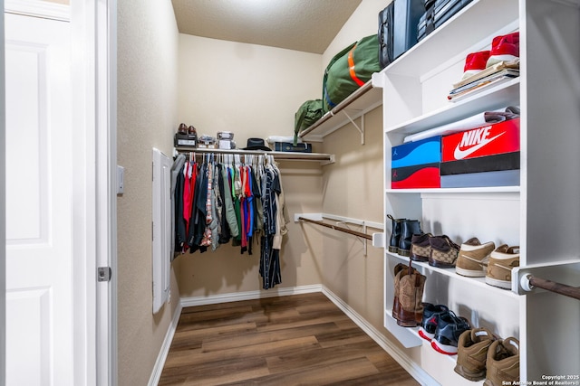 walk in closet featuring hardwood / wood-style flooring