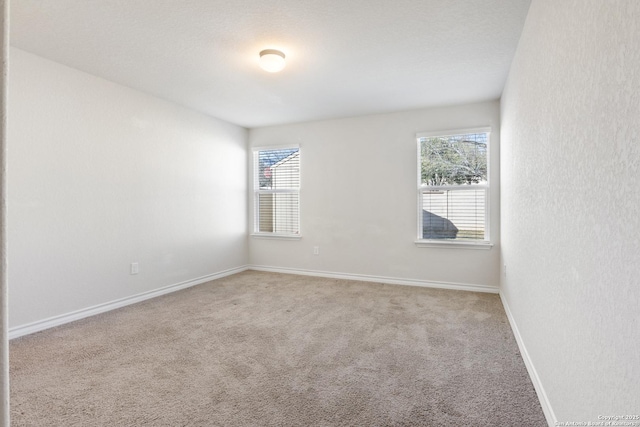 spare room with carpet floors