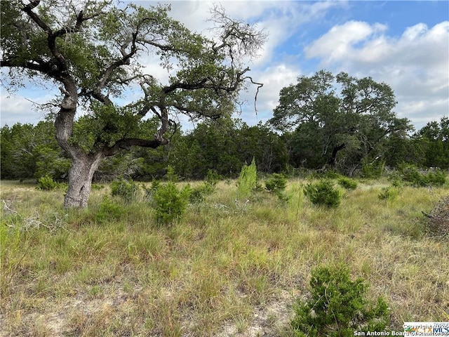 1134 Madrone Rd, Fischer TX, 78623 land for sale