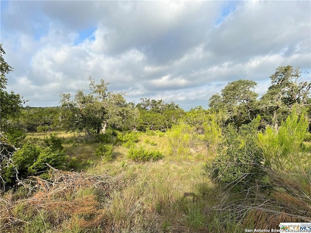 Listing photo 2 for 1134 Madrone Rd, Fischer TX 78623