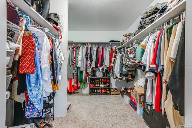 spacious closet featuring carpet flooring