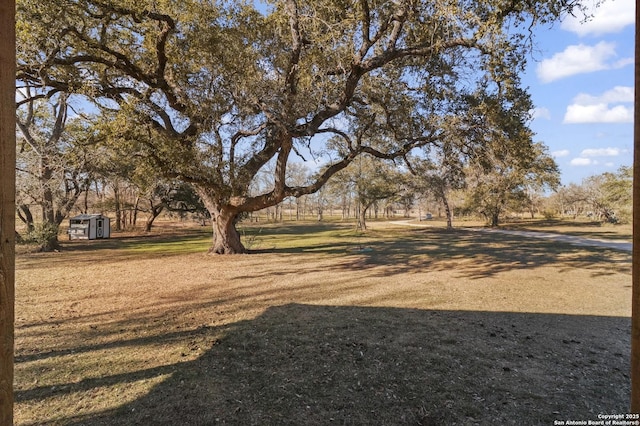 view of yard featuring a storage shed